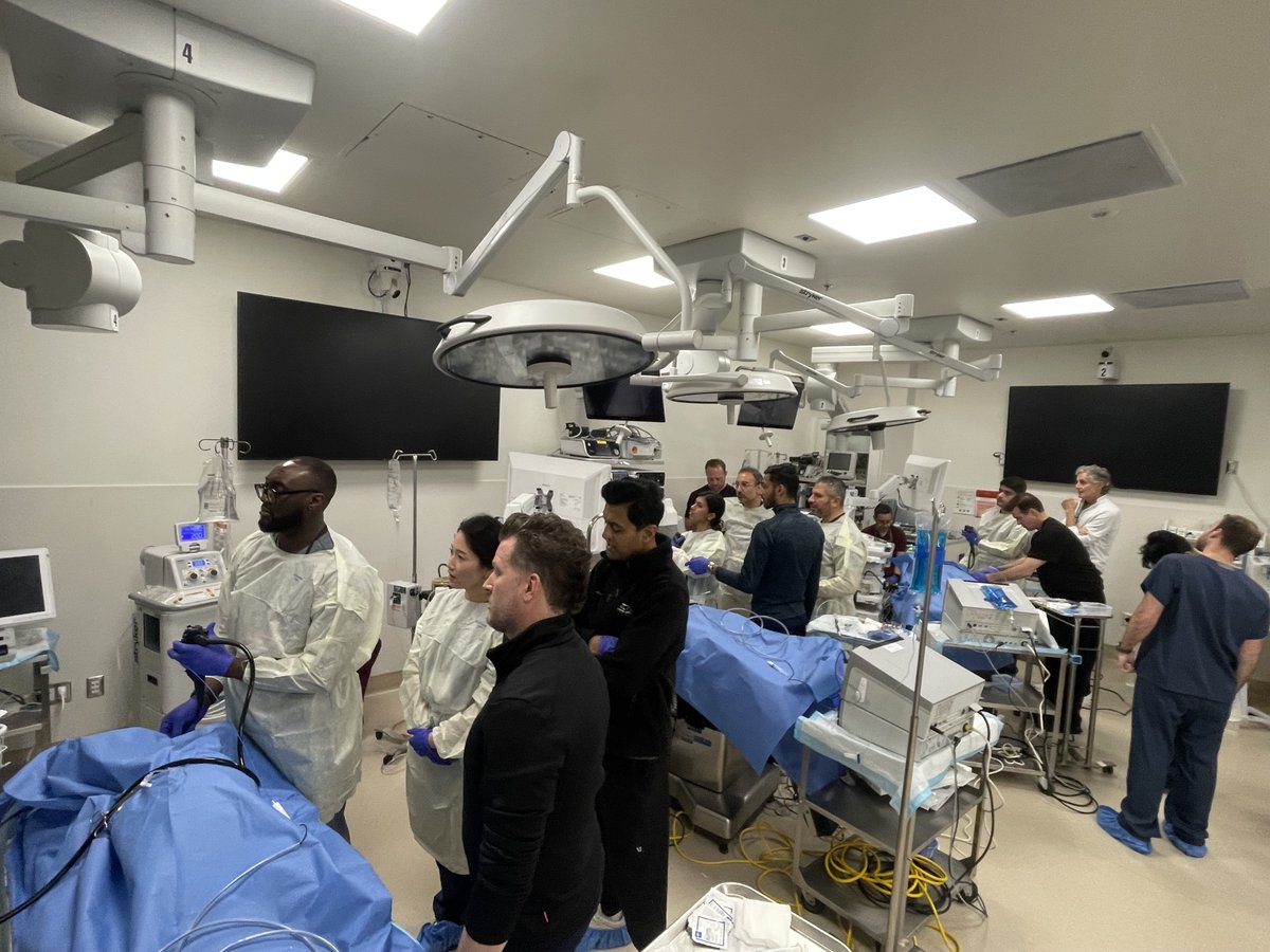 FreeSpaceCo's tweet image. Just launched: The Free Space Project is the first-of-its-kind 3rd space training program in the US for advanced endoscopists. Directed by leading experts @neilRsharmaMD @EndoscopyOthman we are pushing the boundaries of ESD and POEM training. The future of endoscopy starts here.