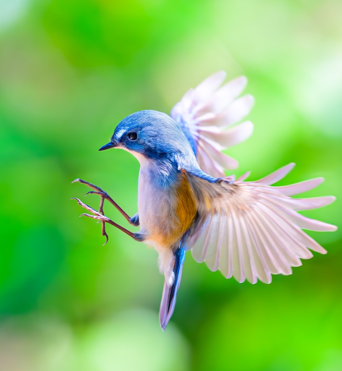 KayLogBook's tweet image. 推しを最高に写すために生まれてきたレンズ

NIKKOR Z 400mm f/2.8 TC VR S

止まり木になりたい・・・🥹

#私とニコンで見た世界 #Z8 #ルリビタキ