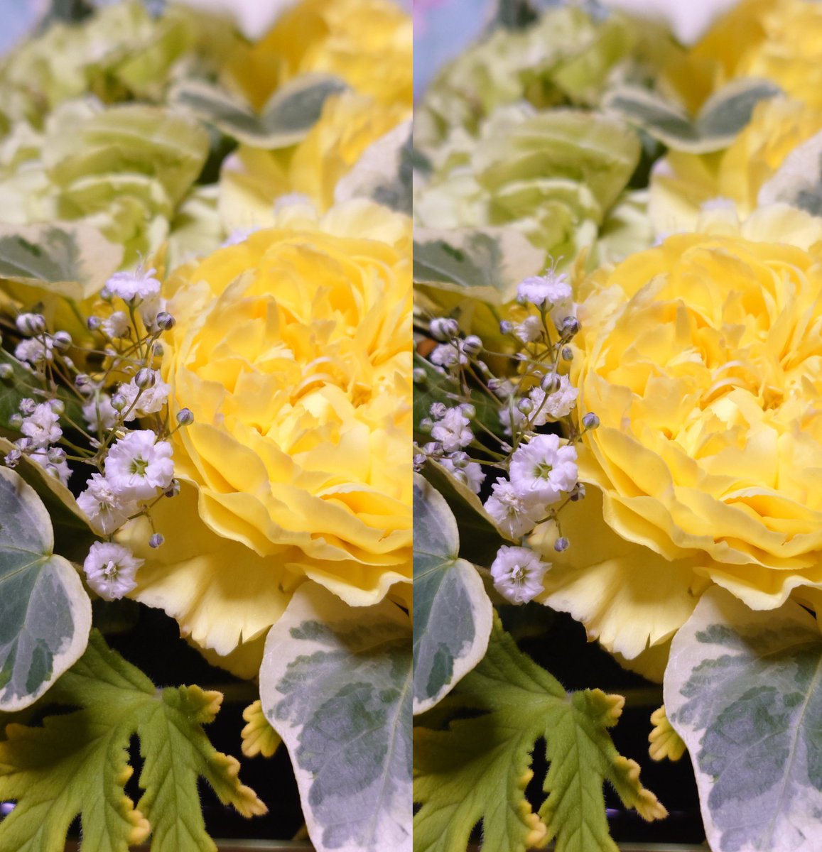 cannotkousa's tweet image. いい感じ(自画自賛)
平行法