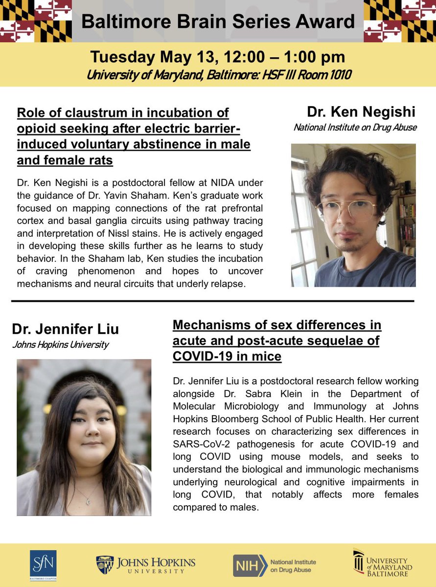 BaltimoreBrainSeries (@bmorebrainy) on Twitter photo Join us TODAY from 12:00-1:00 at UMB for another Baltimore Brain Series seminar! Awardees Dr. Ken Negishi from NIDA and Dr. Jennifer Liu from JHU will present their exciting work. Zoom link provided upon request! <a href="/UMMedNeuro/">Univ of Maryland School of Medicine Neuroscience</a> Join us TODAY from 12:00-1:00 at UMB for another Baltimore Brain Series seminar! Awardees Dr. Ken Negishi from NIDA and Dr. Jennifer Liu from JHU will present their exciting work. Zoom link provided upon request! <a href="/UMMedNeuro/">Univ of Maryland School of Medicine Neuroscience</a>