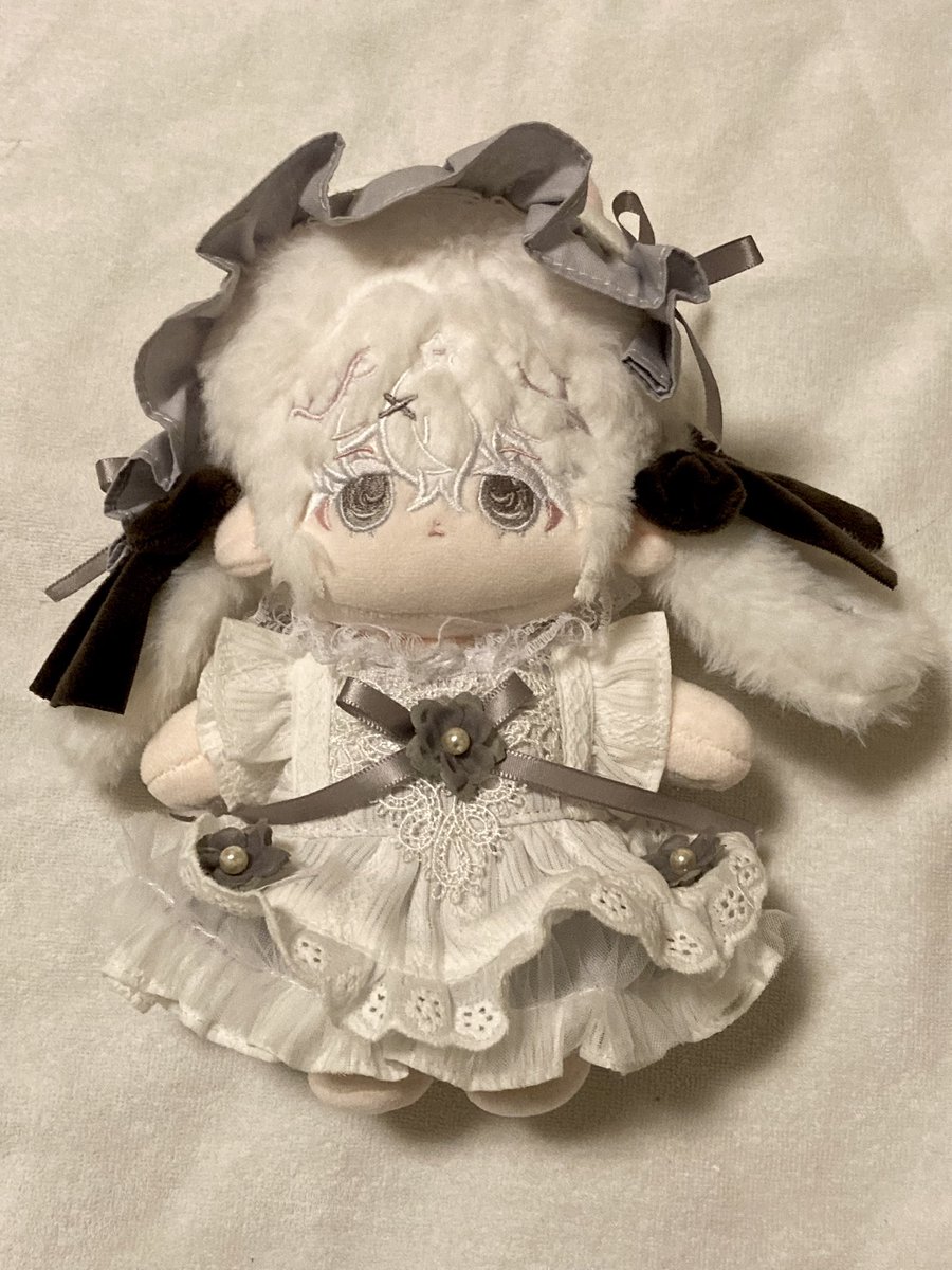 もる様(<a href="/mumuurumo/">もる</a>)のJPGOにて바티(<a href="/selife_0/">바티</a>)様の램(ラム)ちゃんをお迎えさせていただきました！もふもふでとても可愛いです！大切にします❤️ 度は素敵なご縁をありがとうございました！