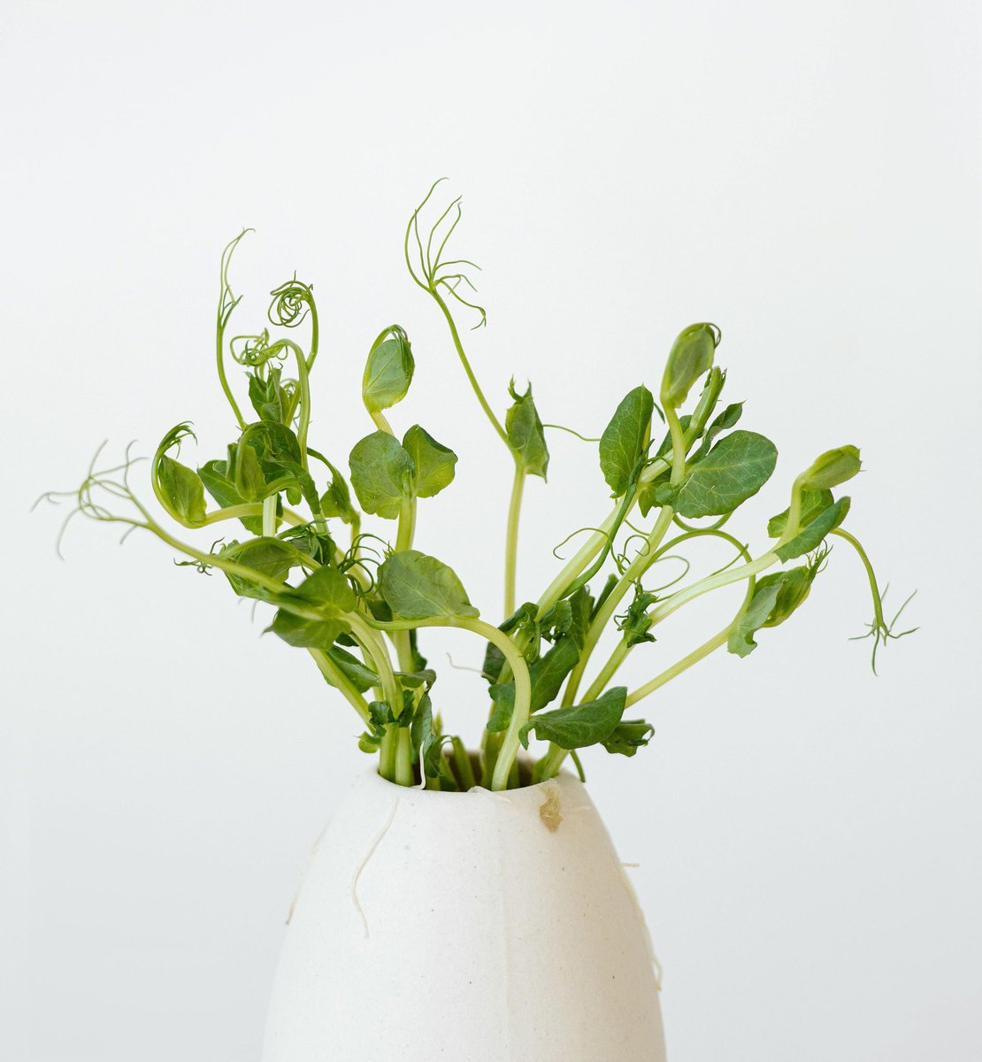 Dorset chefs &amp; home cooks! Level up your BBQ with fresh, local flavour from @WatercressCo! 🌿 Based in Dorchester, they sustainably grow top-quality watercress (and wasabi!). Find them via @RobertsFoodUK 👉  bit.ly/4kgwUsK #DorsetFood