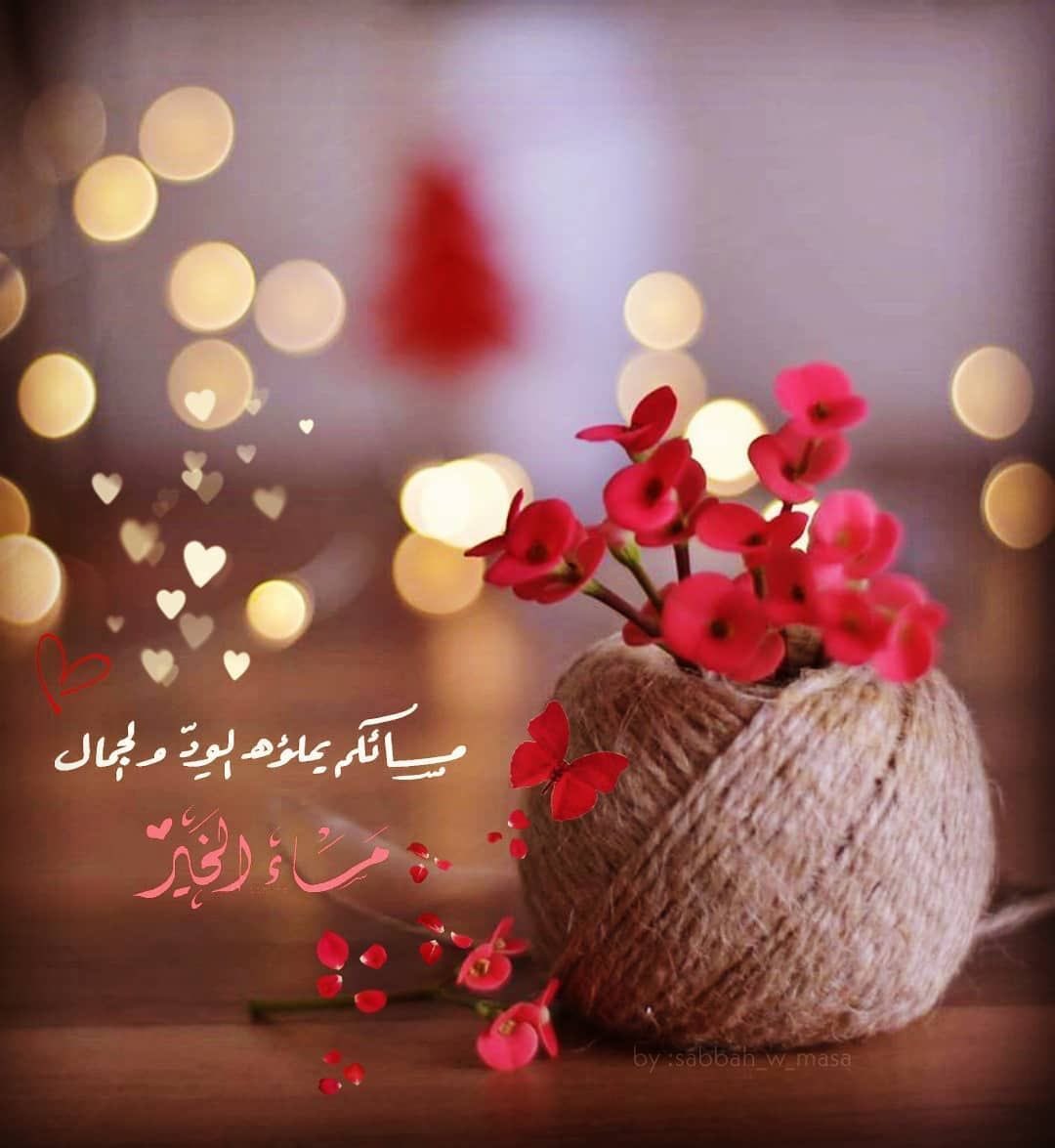 malak_h2020's tweet image. مساء هادئ يحمل بين نسماته راحة القلب وطمأنينة الروح🌸

#مساء_الخير_والسعاده_للجميع 
#اسعـد_الله_مساءڪم