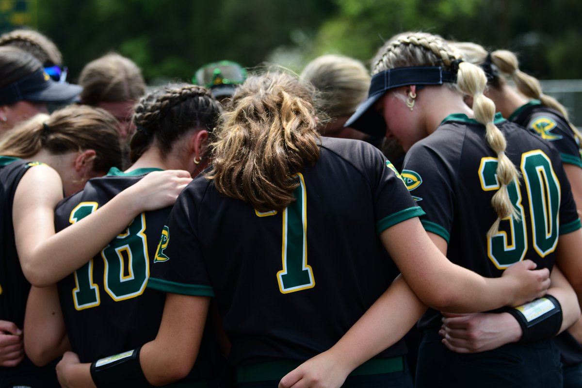 Good Luck to our teams in the playoffs! 

#6 Baseball: v. #11 Mohawk at 4PM Tuesday in North Allegheny
#8 Softball: v. #9 Charleroi at 5PM Tuesday in Norwin
#10 Volleyball: v. #7 Thomas Jefferson at 7PM Tuesday in Thomas Jefferson

Tickets: gofan.co/wpial 

#DLProud