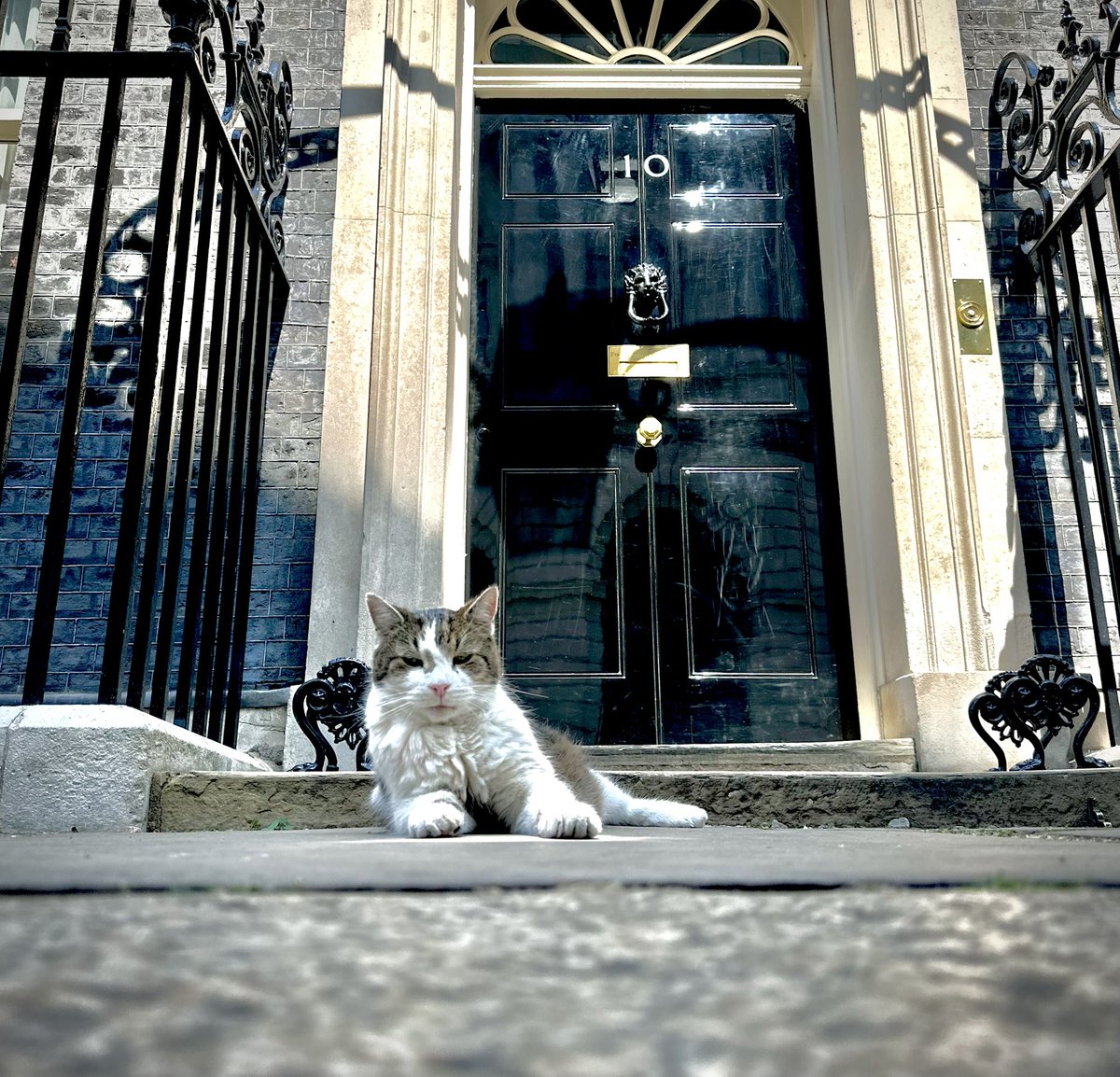 Still in charge.

Still handsome as ever.