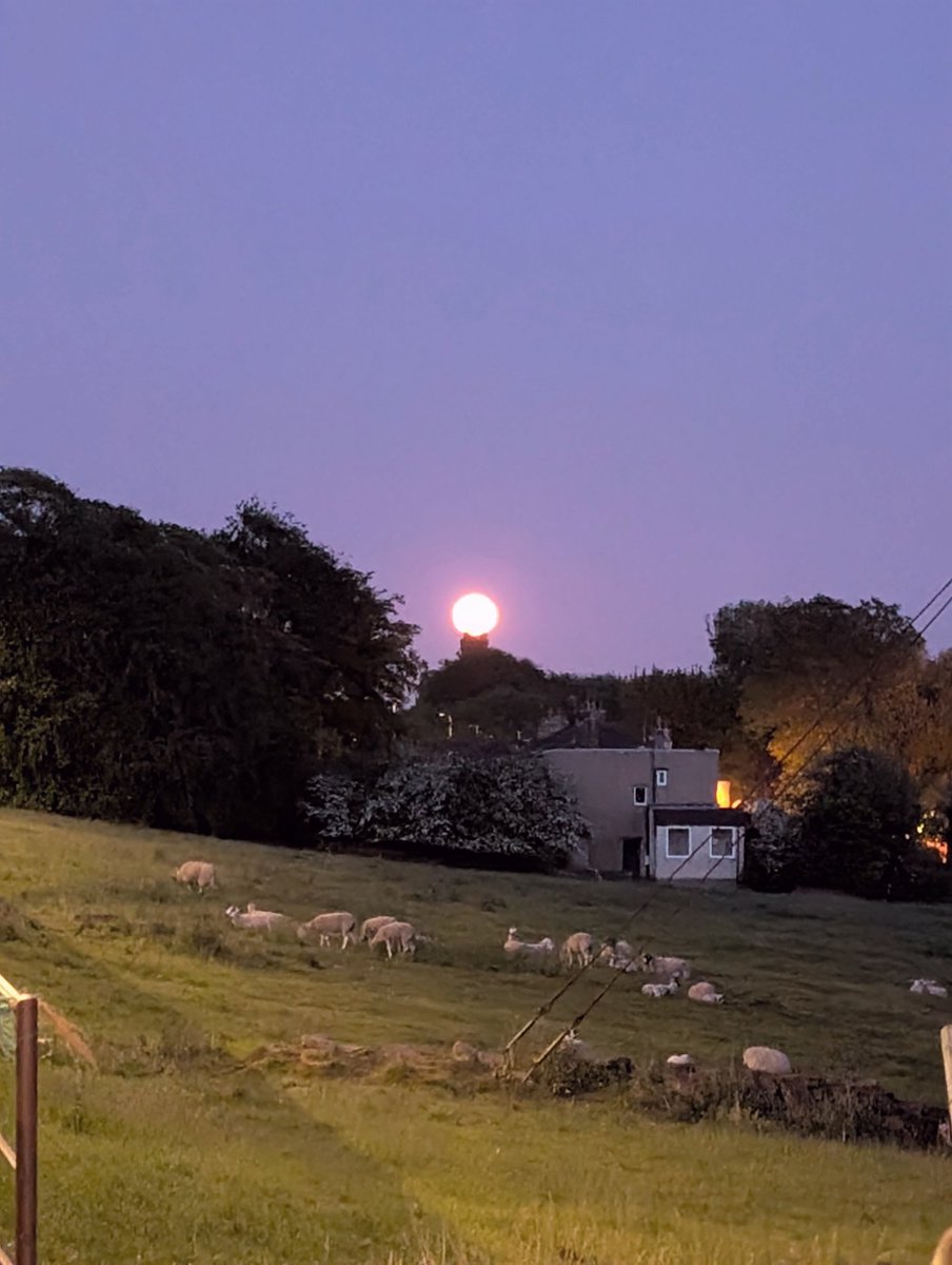 MrDMosby's tweet image. I took the photo of a very large looking red moon last night. Don't miss opportunities to discuss everyday phenomena like this in the classroom. Science is the incredible everyday, use this to your advantage.