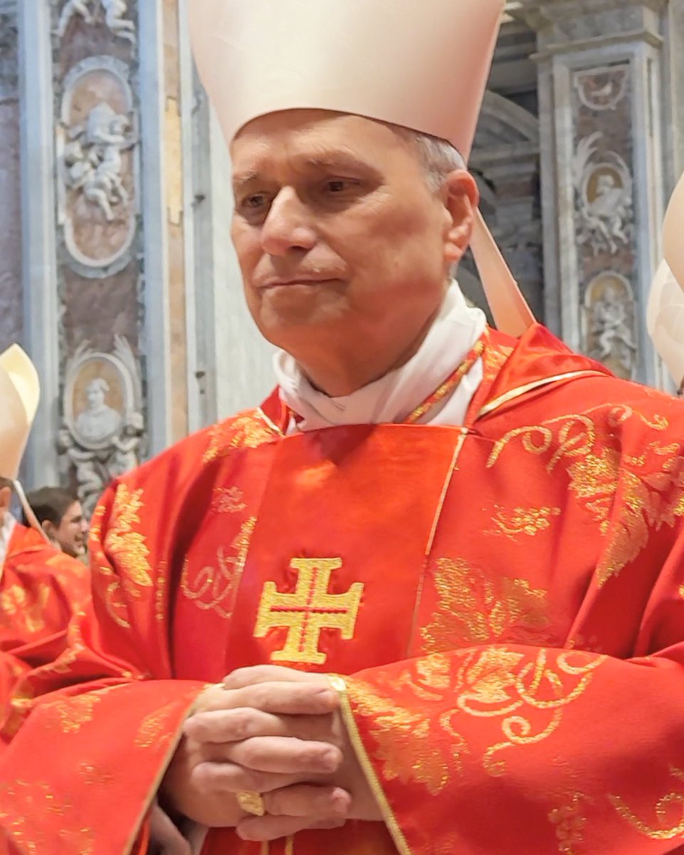 MountainButorac's tweet image. It’s kind of funny to think that of all the cardinals who commuted to the meetings each day leading up the conclave, the media never had a chance to shove a camera and mic into the face of Cardinal Prevost since he already lived within the walls of the Vatican. The only chance…