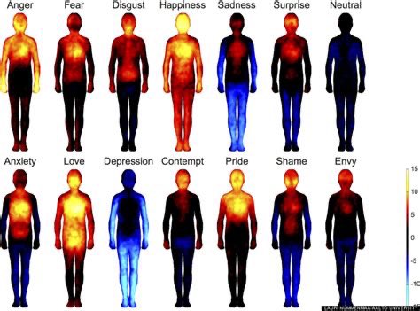 davidmatsumoto's tweet image. Feelings are often associated with physical reactions: terror can send chills down your spine, and love can leave you weak in the knees.

humintell.com/2016/12/mappin…