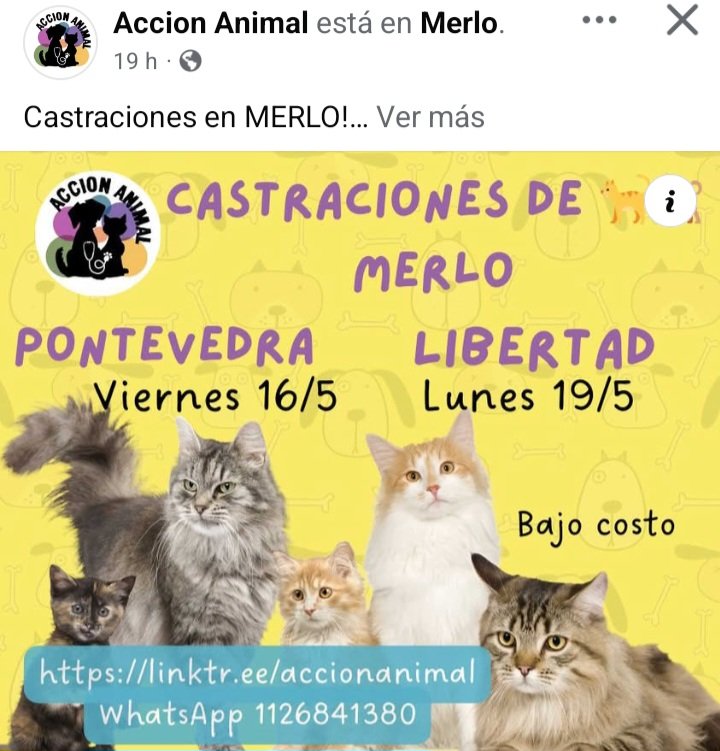 Las consecuencias de NO castrar:👇
👉Encierro (perreras)
👉Maltrato animal
👉Envenenamiento
👉Abandono
👉Vagabundeo
👉Más refugios
👉Contaminación
👉Peleas callejeras
👉Jaurías asilvestradas
👉Accidentes en la vía pública
👉Más enfermedades zoonóticas
#Ley13879 #castrarsalvavidas