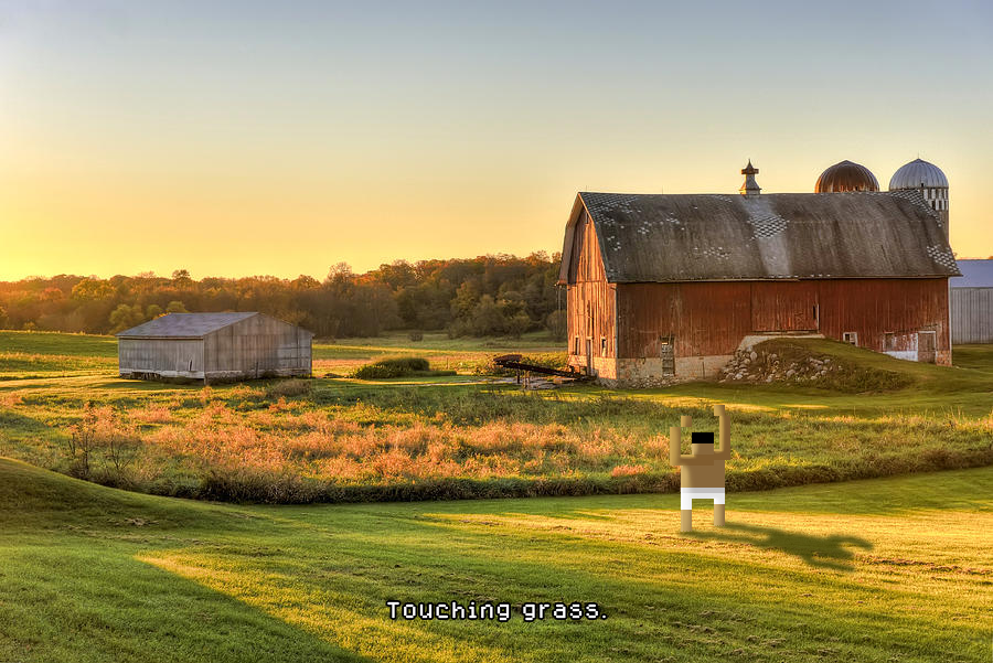 basedigger's tweet image. gooooooood morning, $GM

Started testing referrals this week. Making some tweaks based on community feedback . Hopefully it’ll be up and running in the next few days.

We’ll post all the details once it’s live.