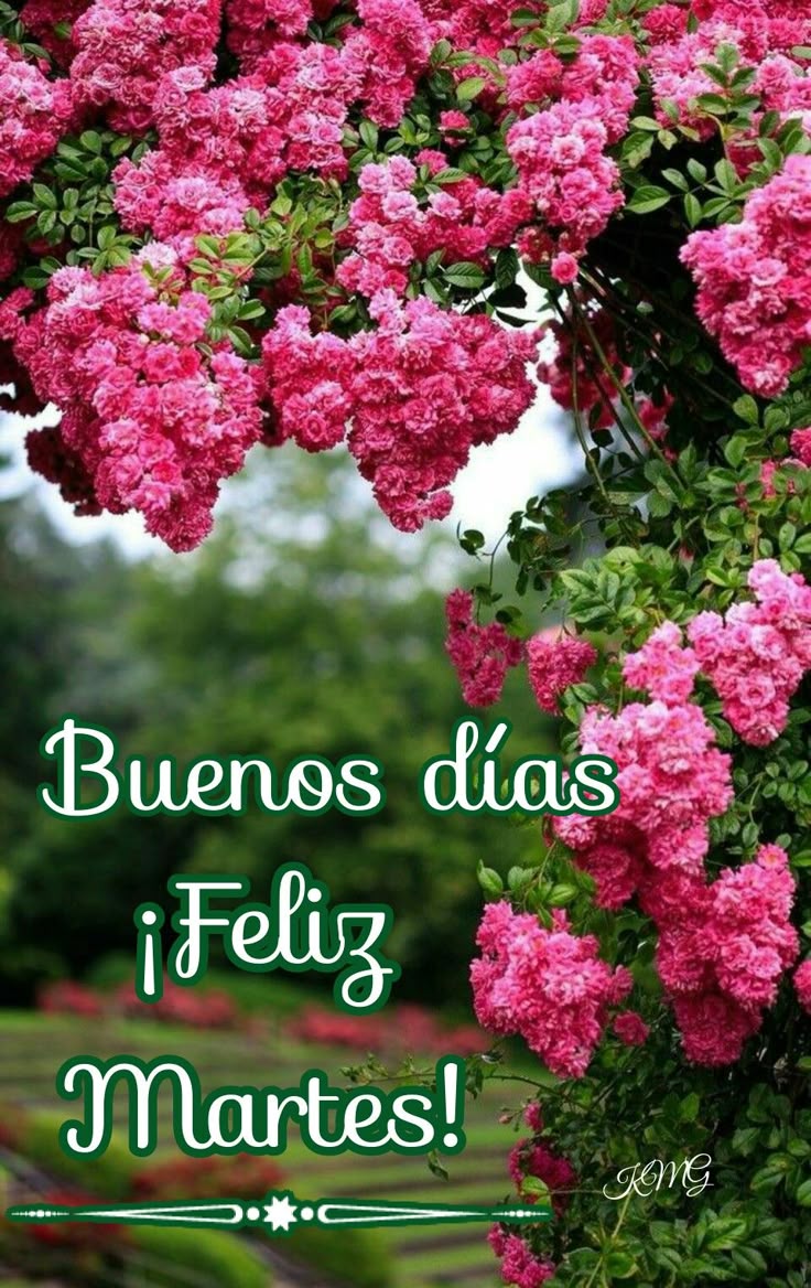 Feliz y bendecido martes
#BuenosDíasATodos