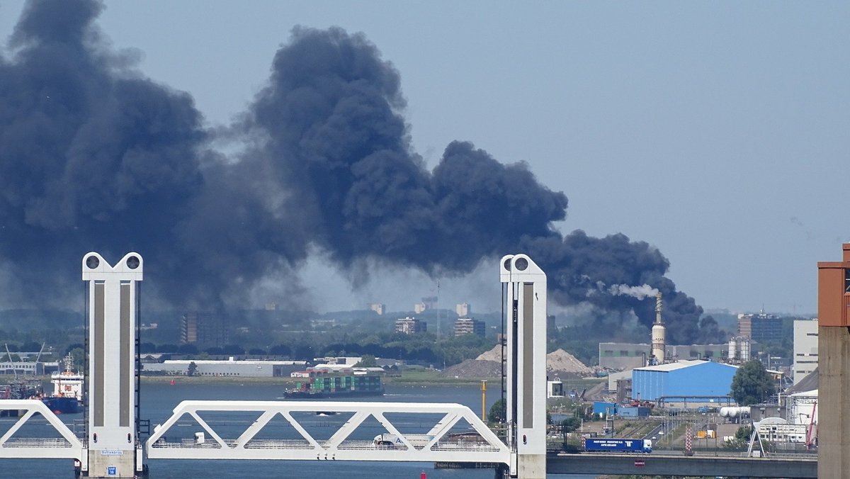 LINQ Media tweet media