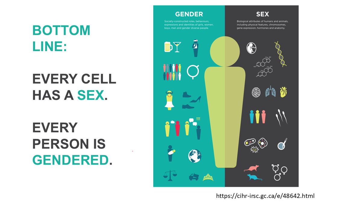 OACellBiology (@oacellbiology) on Twitter photo It's Sex Differences in Health Awareness Day!
Biology of Sex Differences' Editorial Board have collaborated on Editorials, a Q&A and a Review to highlight the importance of sex differences research
<a href="/OSSDtweets/">OSSD</a> <a href="/SWHR/">SWHR</a> <a href="/BiologySexDiff/">Biology of Sex Differences</a>
communities.springernature.com/posts/sex-diff…
doi.org/10.1186/s13293… It's Sex Differences in Health Awareness Day!
Biology of Sex Differences' Editorial Board have collaborated on Editorials, a Q&A and a Review to highlight the importance of sex differences research
<a href="/OSSDtweets/">OSSD</a> <a href="/SWHR/">SWHR</a> <a href="/BiologySexDiff/">Biology of Sex Differences</a>
communities.springernature.com/posts/sex-diff…
doi.org/10.1186/s13293…
