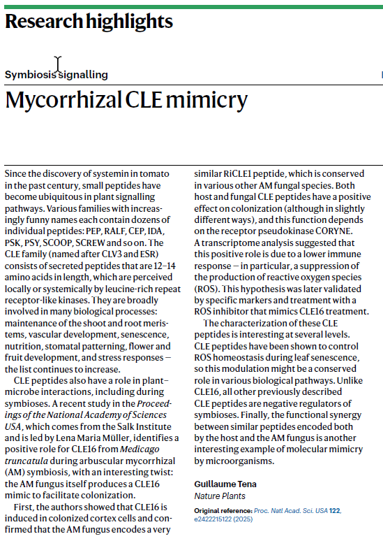 Our editors write:

- "Symbiosis signalling: Mycorrhizal CLE mimicry" rdcu.be/elQ6S