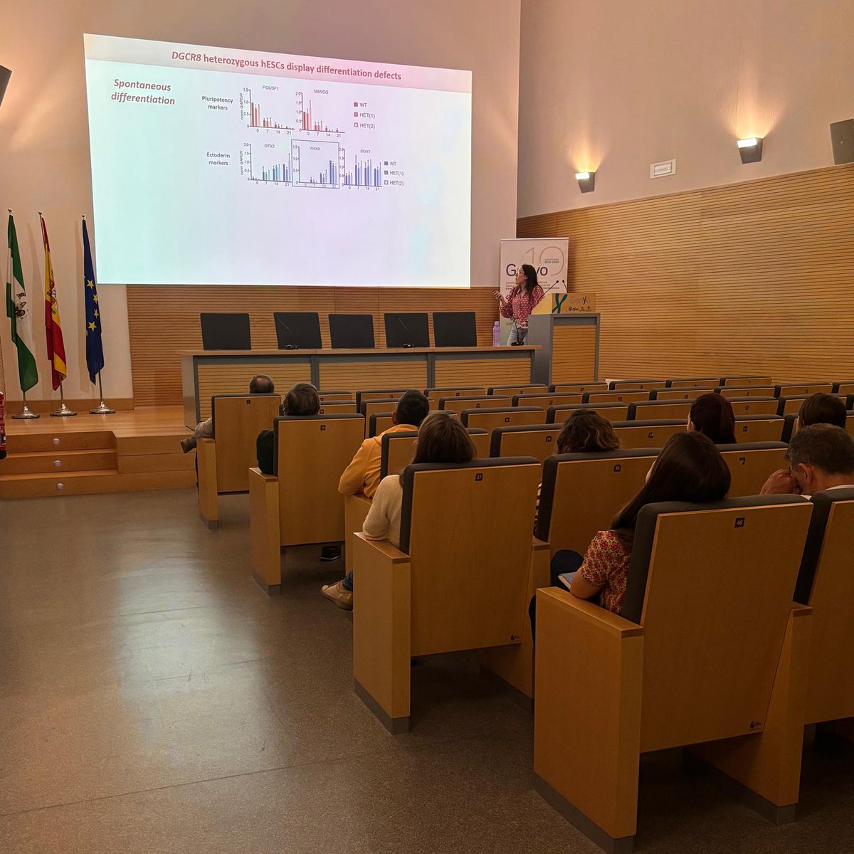 GENYO (@genyo_pts) on Twitter photo Today, Ana Colomer presented the #SeminarioInterno titled: “DGCR8 haploinsufficiency leads to primate-specific RNA dysregulation and pluripotency defects” Today, Ana Colomer presented the #SeminarioInterno titled: “DGCR8 haploinsufficiency leads to primate-specific RNA dysregulation and pluripotency defects”
