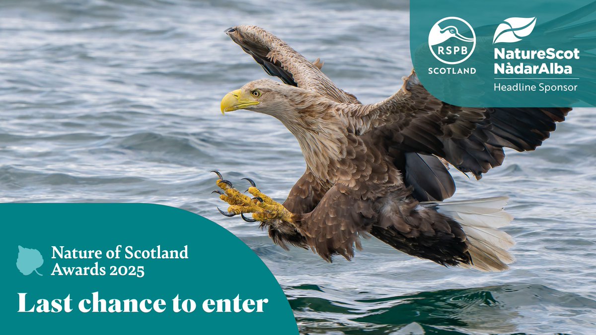 Quick! Time is running out to nominate your nature heroes for this year's #NatureofScotland Awards, celebrating the inspirational people, projects and partnerships making a difference for Scotland's nature. Deadline 27 May. buff.ly/oUB3dAl