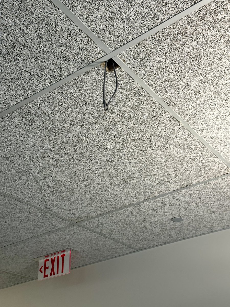 Guess the VLAN and win 69 Raid Owl points