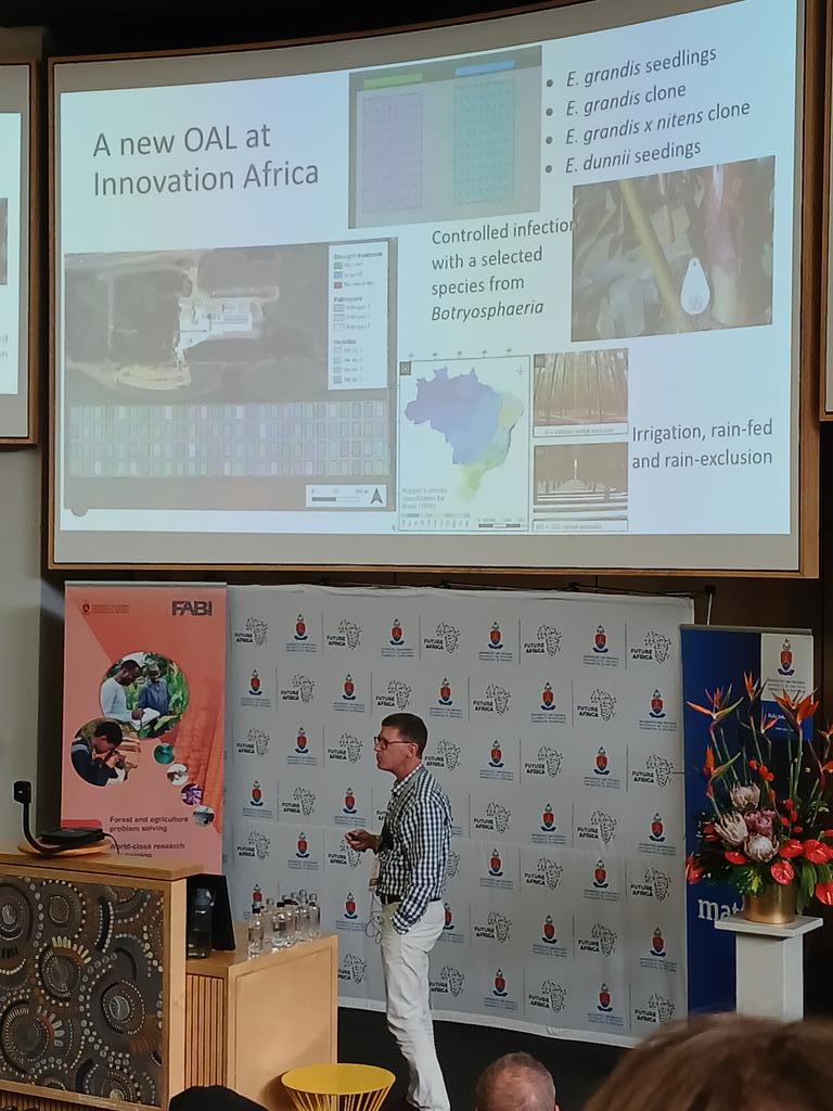 FABI (@fabiteam1) on Twitter photo Prof David Drew, from Stellenbosch University <a href="/StellenboschUni/">Stellenbosch University</a> <a href="/MatiesResearch/">Research at Stellenbosch University</a>, discusses the impact of Open Air Laboratories (OAL) in forestry in South Africa. 🌳
#TPCP2025 #TreeHealth #Forestry Prof David Drew, from Stellenbosch University <a href="/StellenboschUni/">Stellenbosch University</a> <a href="/MatiesResearch/">Research at Stellenbosch University</a>, discusses the impact of Open Air Laboratories (OAL) in forestry in South Africa. 🌳
#TPCP2025 #TreeHealth #Forestry