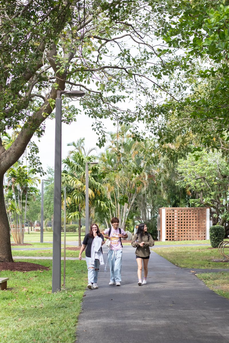 Happy Summer Term, Seahawks! ☀️ Classes for Sessions 1 and 2 kick off today. Time to dive in and make it count. #BCProud #SummerAtBC <a href="/BCMediaRoom/">Broward College News</a>