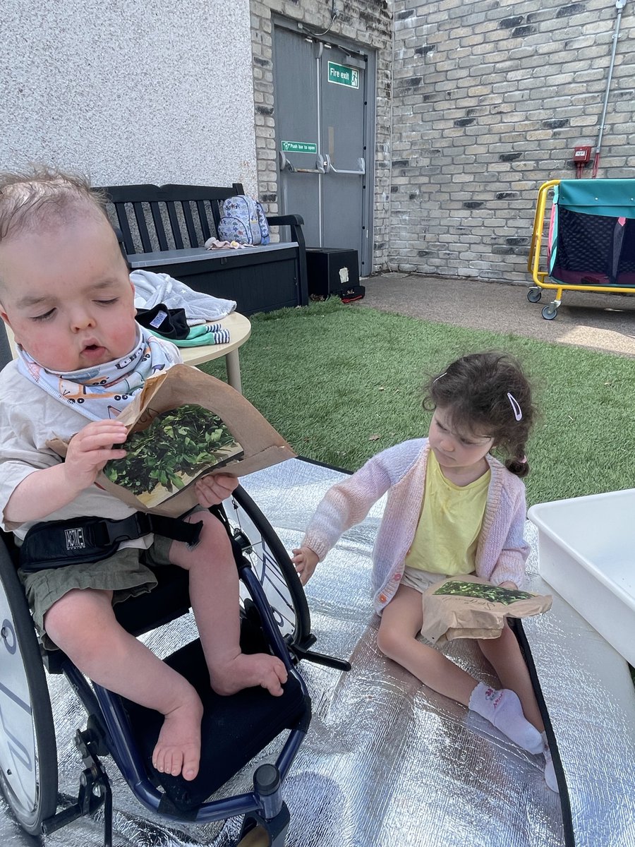 school_keys's tweet image. KEYS children have harvested their first crop of the season 🍃🥕☀️ Spinach taken home for soups, salads or pastas 🍝🥗 #Earlyyears #outdoorlearning #planting #growing #spinach #STEM #realisingtheambition #fun ☀️🌱