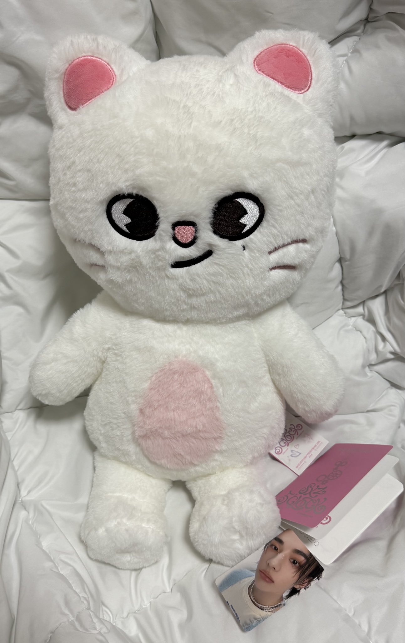 新品】StrayKids SKZOO ヒョンジン ジニレット テディベア