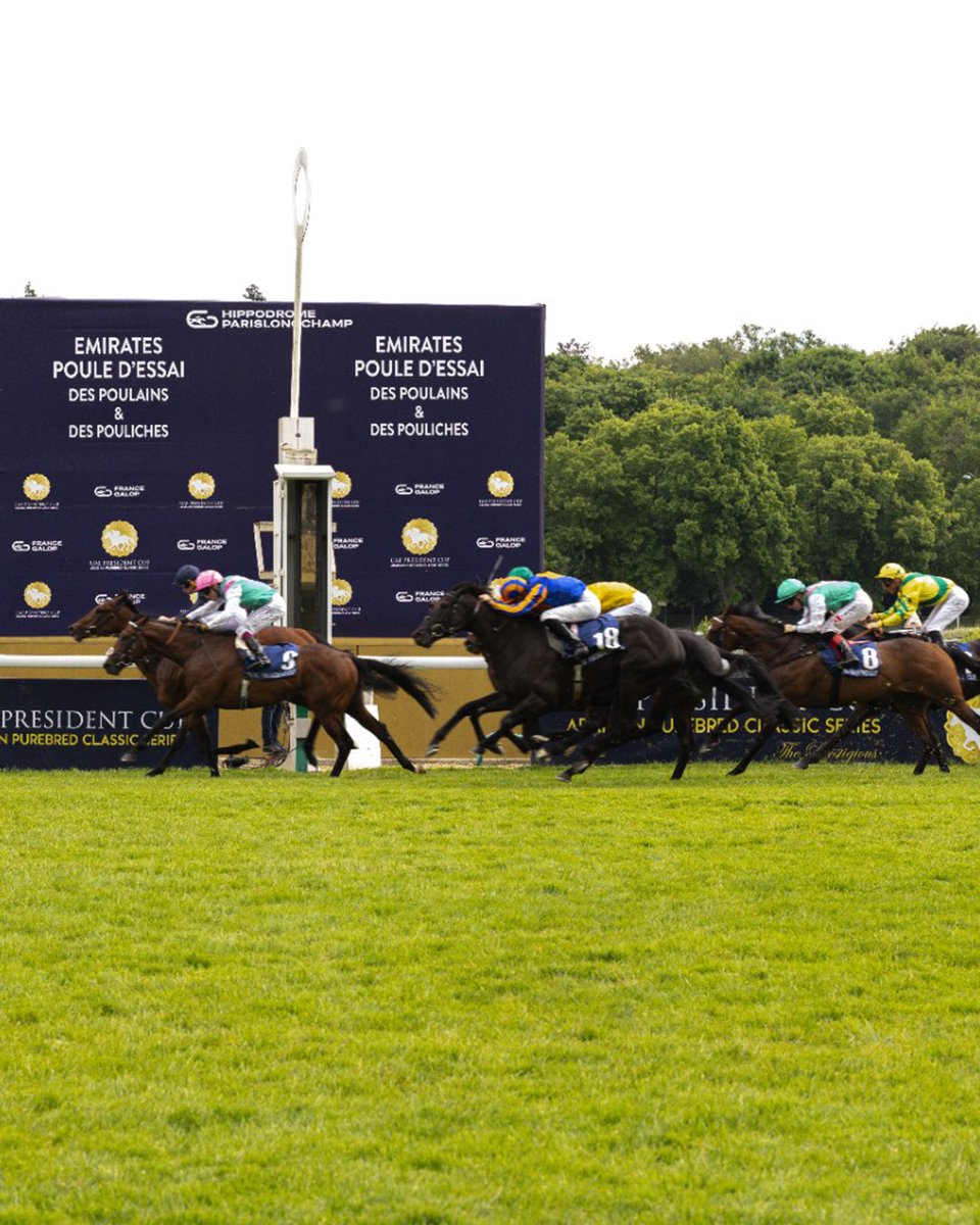 From the thrill of the racecourse to the joy of victory…
We share with you the most memorable moments from the France stage of the 32nd edition of the UAE President’s Cup for Purebred Arabian Horses. ✨🏇

من الإثارة على المضمار… إلى فرحة التتويج… وأجواء المنافسة العالمية.