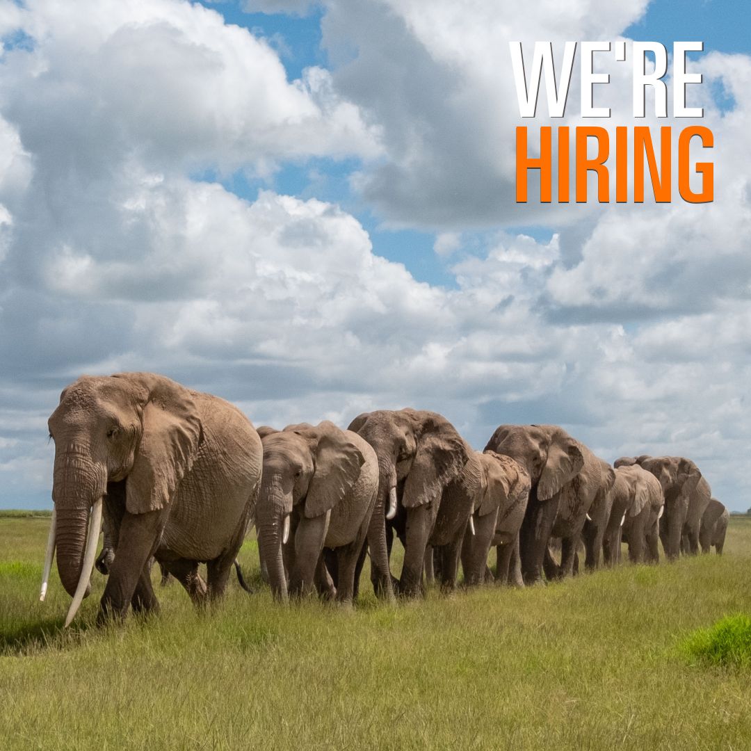 Are you looking to take the next steps in your career? We're searching for a Partnerships Manager to join the Whitley Fund for Nature team.

Find all the details here and apply before 23rd May: whitleyaward.org/2025/05/13/wer…
