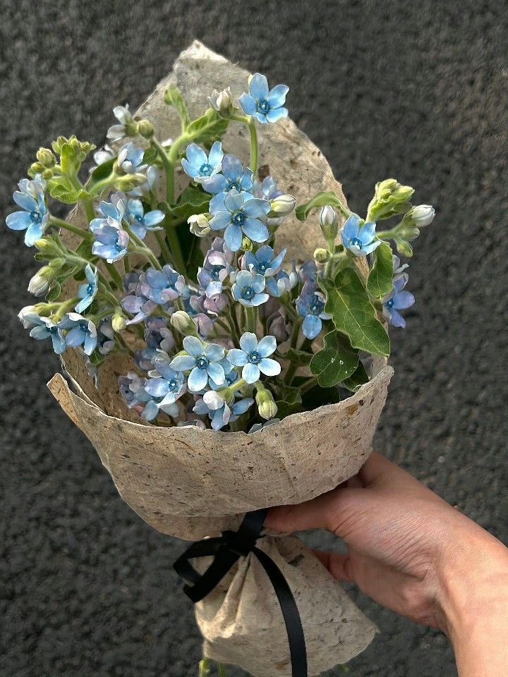 Blue flowers