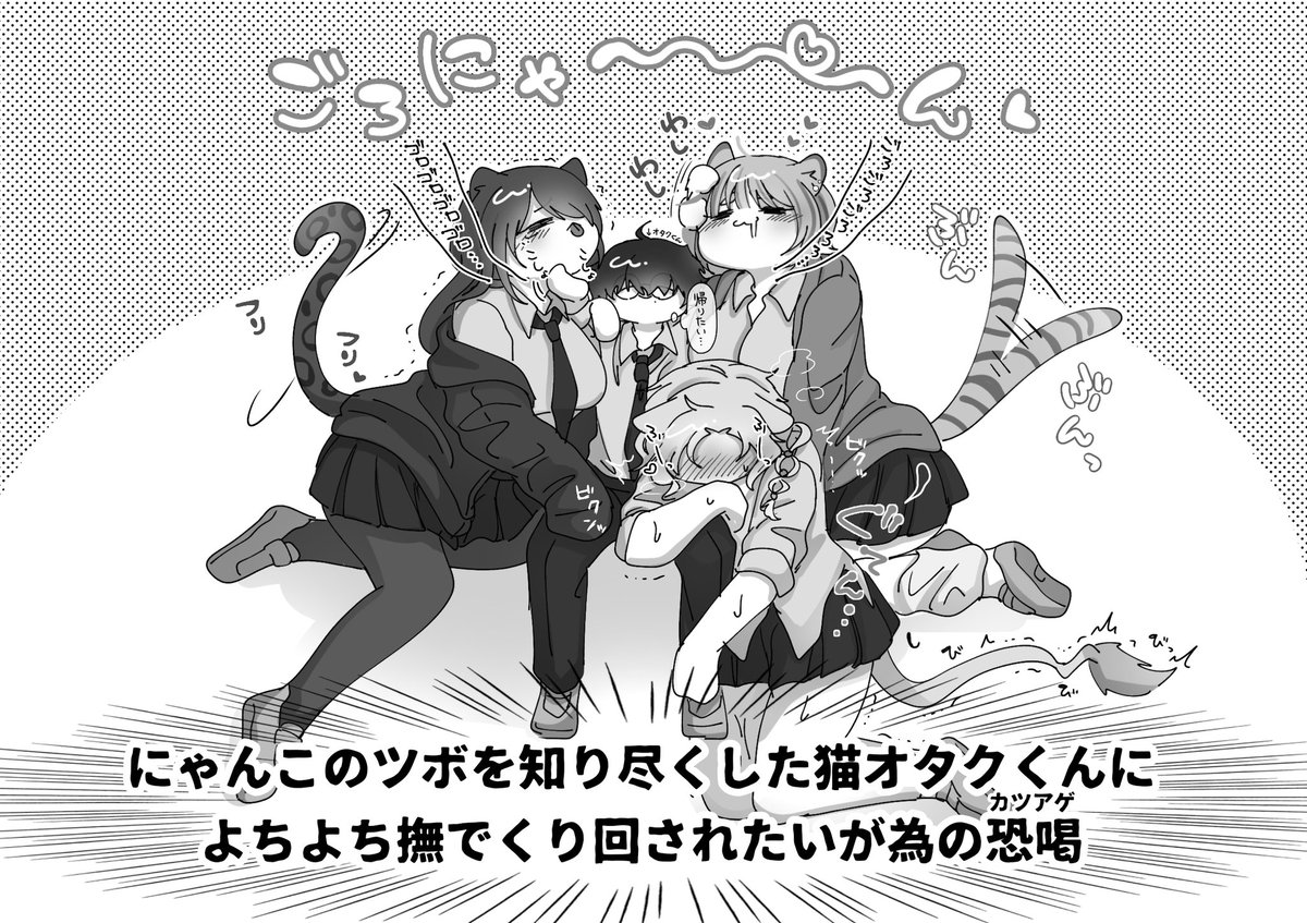 不良猫ﾁｬﾝｽﾞに絡まれるオタク(にんげん)くん