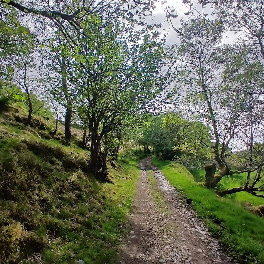 Annemarie Ní Churreáin (@nichurr) on Twitter photo ⏰ Two days left! 🌿 Submissions for <a href="/stingingfly/">The Stinging Fly</a> Climate Crisis issue (Winter 2025-26 issue) will close at 5pm (Irish time) on the 15th May 🍃ᨒ ོ Find the call here → stingingfly.org/news/submissio… ⏰ Two days left! 🌿 Submissions for <a href="/stingingfly/">The Stinging Fly</a> Climate Crisis issue (Winter 2025-26 issue) will close at 5pm (Irish time) on the 15th May 🍃ᨒ ོ Find the call here → stingingfly.org/news/submissio…