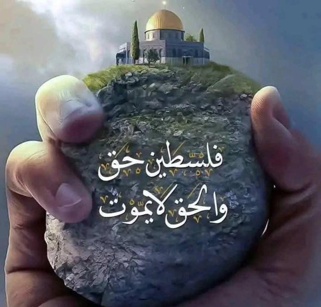 تابعوهم تكفون 
<a href="/alrwh_fda667/">فداء الروح</a>
<a href="/abdallh77794/">ابوخالد</a>
<a href="/abuali990x120/">احمد حمود</a>
<a href="/Muhammd101/">أبو محمد العاصمي (احتياطي)</a>
<a href="/lsdly4998131570/">شالي</a>
<a href="/mkhtar_mns15775/">مختار منصر</a>
<a href="/mmdbdll72956791/">محمد عبدالله</a>
<a href="/qsmly3064365060/">ابوفضل الخولاني</a>
<a href="/Yongin_Ghani_16/">غـانـم الـمـرانــي🇾🇪</a>
<a href="/KHALEDA40000/">KHALED</a>
<a href="/AbuMuhamm0/">أبو محمد العاصمي🗨</a>
<a href="/abwth54533/">أبوطه</a>
<a href="/lml1859628/">تامر أبو العمرين-غزة 🇵🇸</a>
<a href="/KGhzt30799/">كلنا غزة</a>
