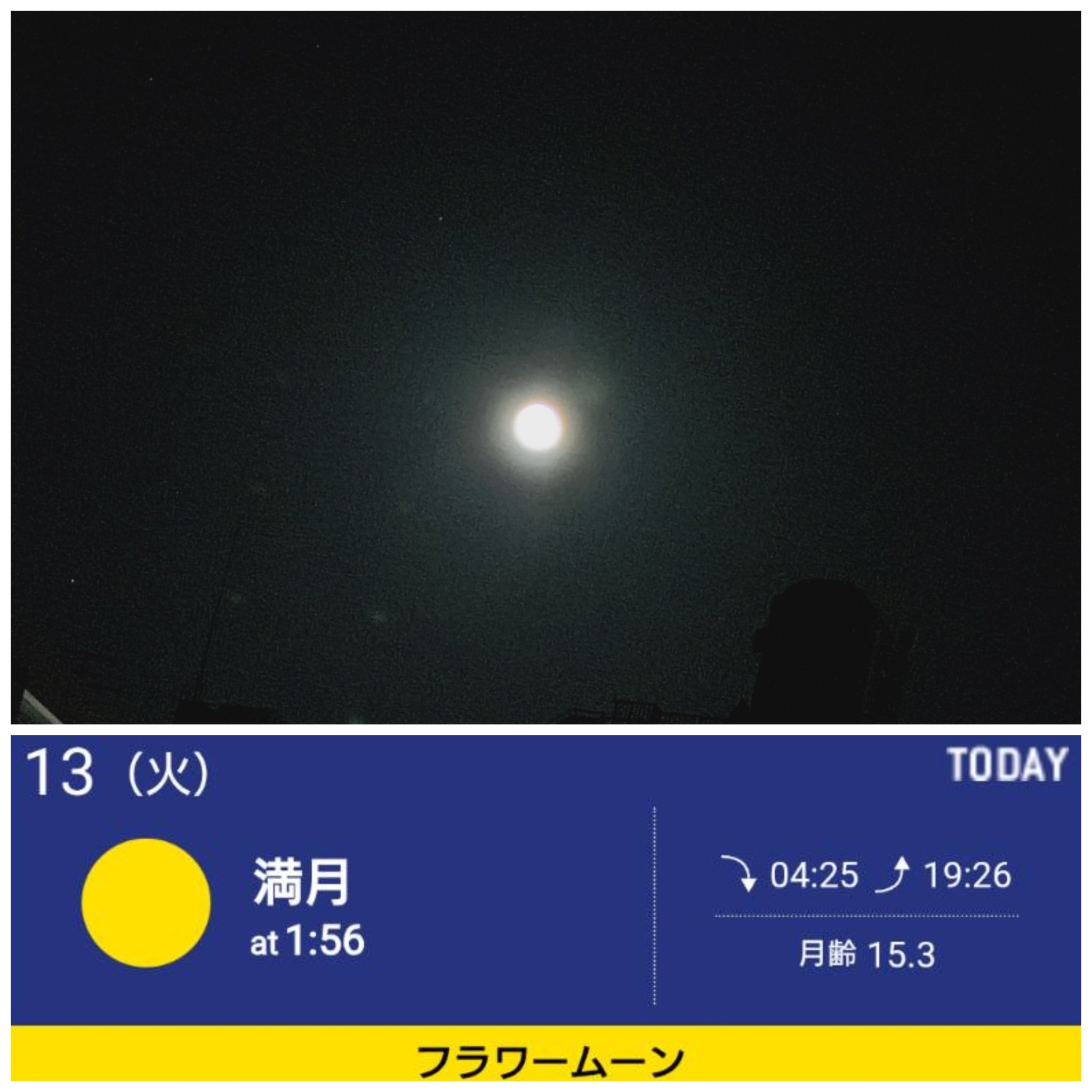 満月イェーイ - البحث / X