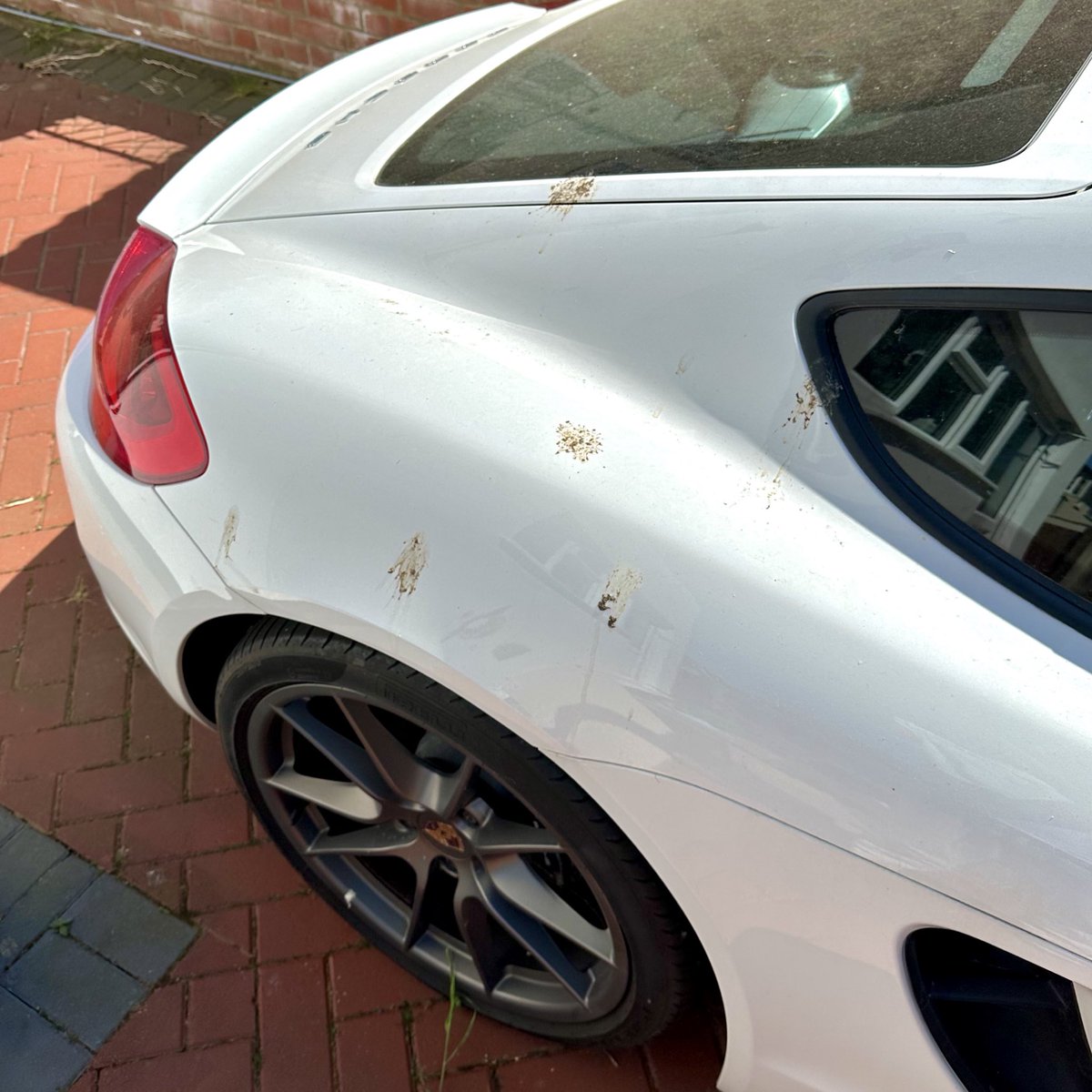 Car’s been shat on my 6 pigeons this morning :(