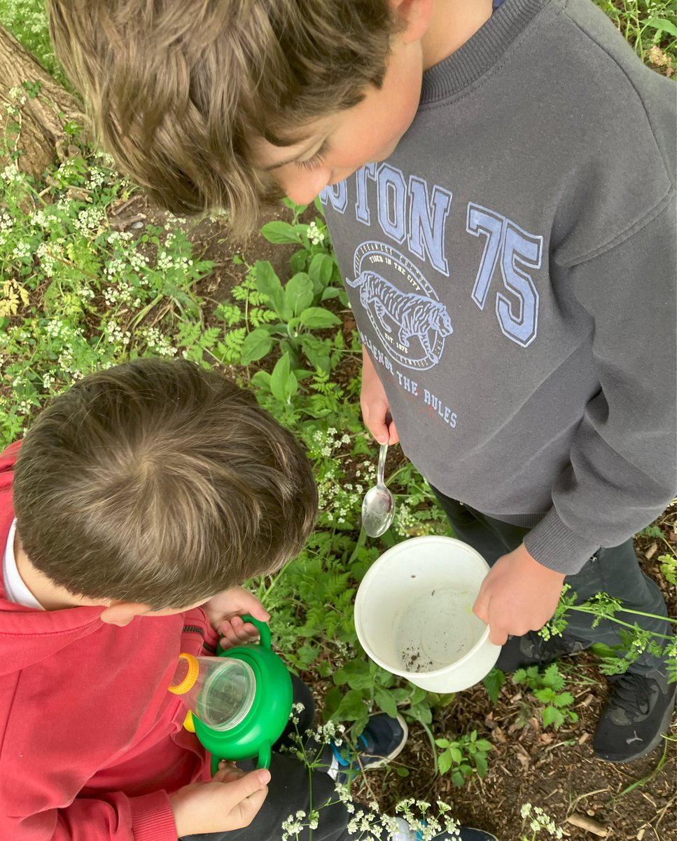 Year 5 had a brilliant day at Bushy Park learning to investigate invertebrates, classify animals and go pond dipping. They returned full of enthusiasm and discoveries.