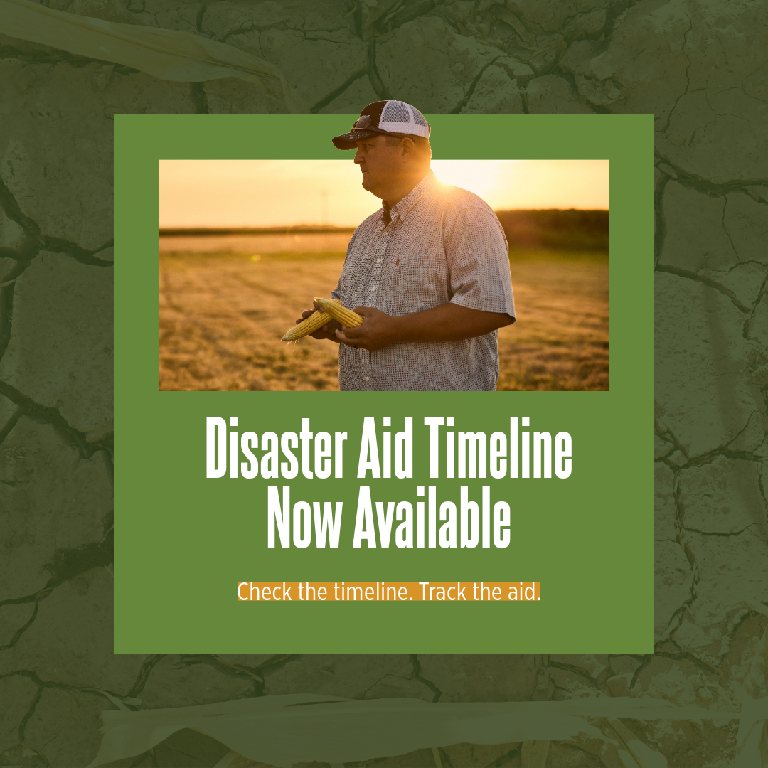 Texas Corn Producers (@texascorn) on Twitter photo Disaster aid is on the way. <a href="/USDA/">Dept. of Agriculture</a> recently unveiled a disaster program timeline with plans to expedite $21 billion in assistance. Farmers receiving livestock relief for drought and wildfire can expect to receive payments as early as the end of May.
Take a look at the timeline Disaster aid is on the way. <a href="/USDA/">Dept. of Agriculture</a> recently unveiled a disaster program timeline with plans to expedite $21 billion in assistance. Farmers receiving livestock relief for drought and wildfire can expect to receive payments as early as the end of May.
Take a look at the timeline