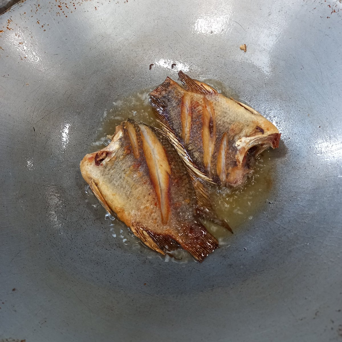 Ive never felt this way before
ความหวังที่ลำบาก #Food
#fish