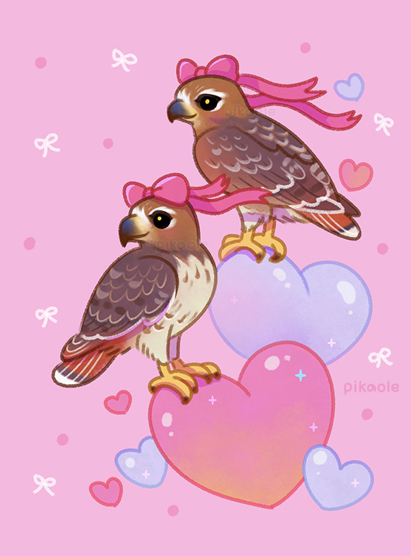 fikaole's tweet image. Red-tailed hawks with ribbon🎀