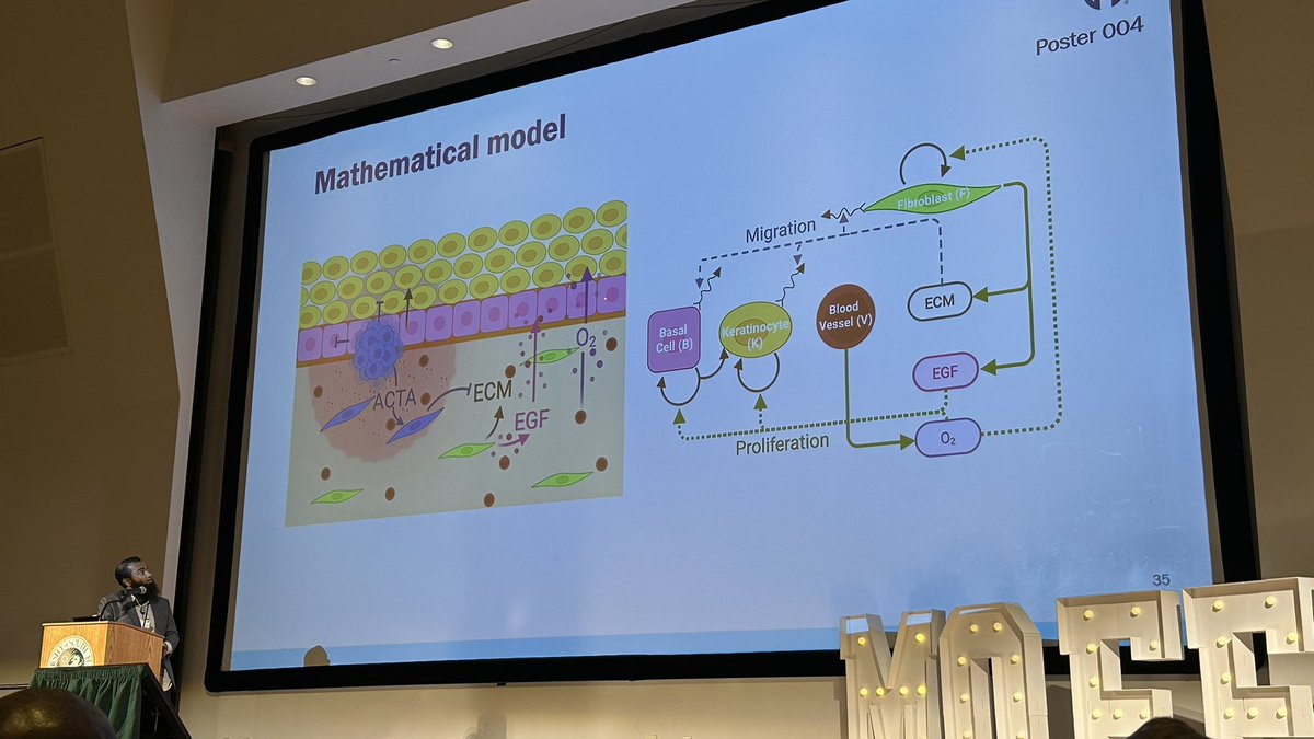 The first talk from <a href="/mathonco/">IMO</a> is MA Masud, on designing a model of basal cell carcinoma #mathonco
