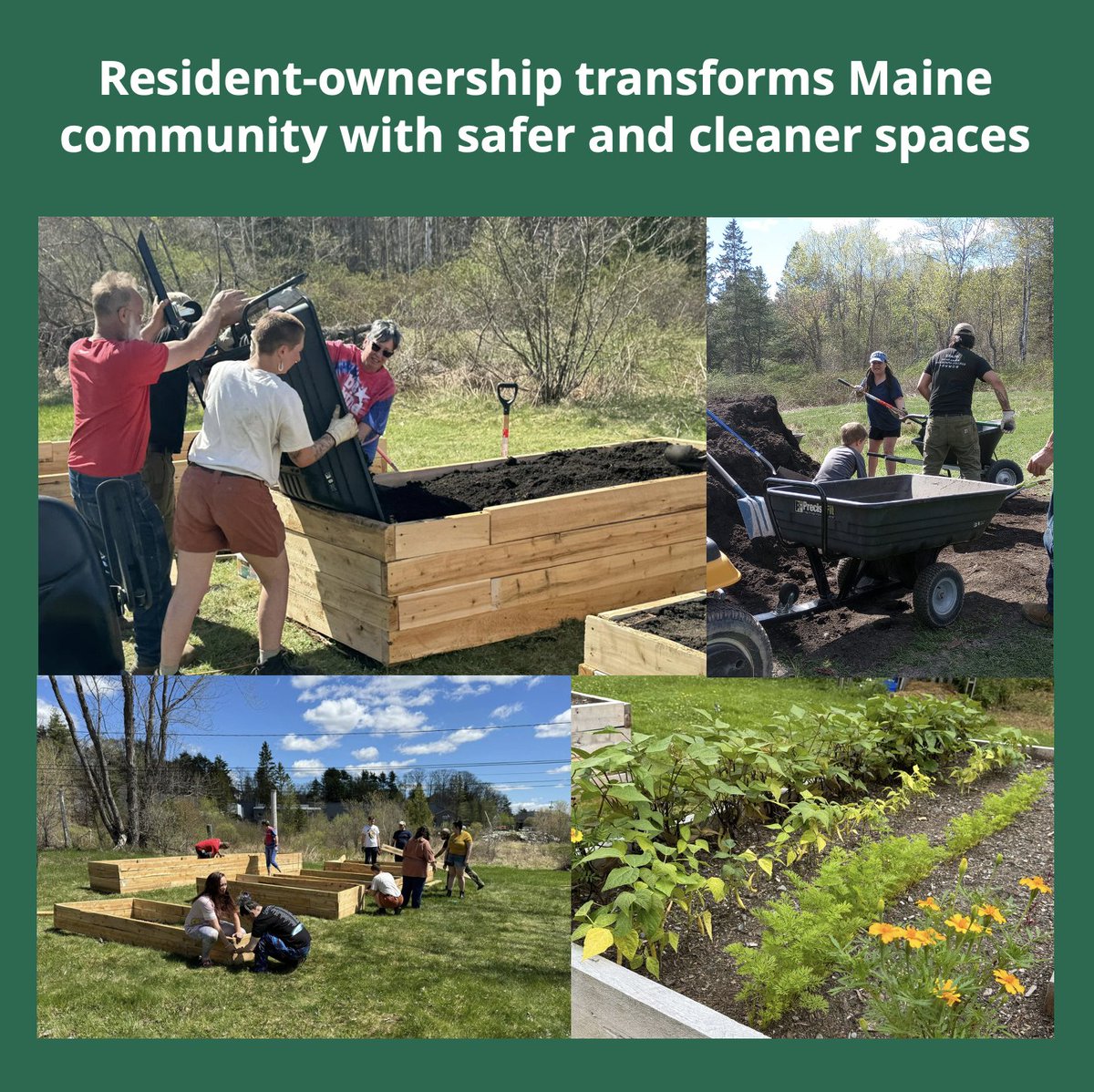 A new veggie garden, safer streets for kids, and a cleaner stream running through the park are just a few of the improvements made by the resident-owners of Grey Stone since they purchased the community more than 15 years ago. Read their story here: cdi.coop/resident-owner…