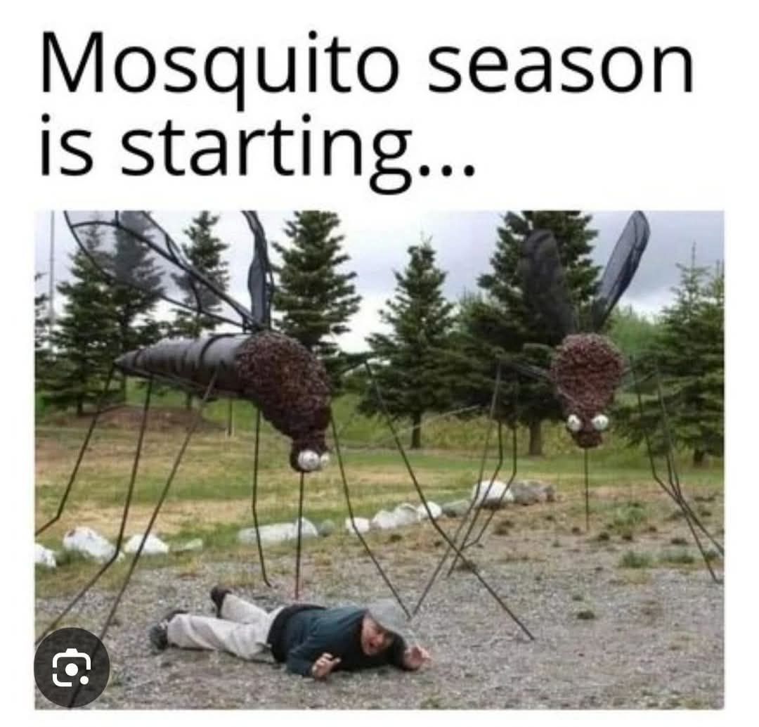 And away we go! 🤦🏼‍♀️🤦🏼‍♀️🤦🏼‍♀️