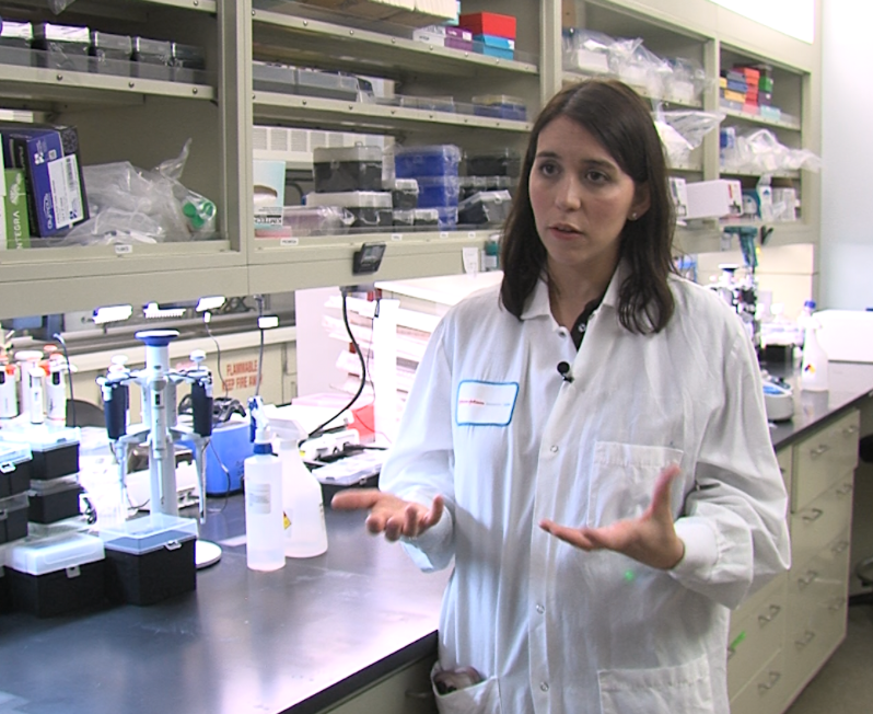 Connect the Docs tweet media