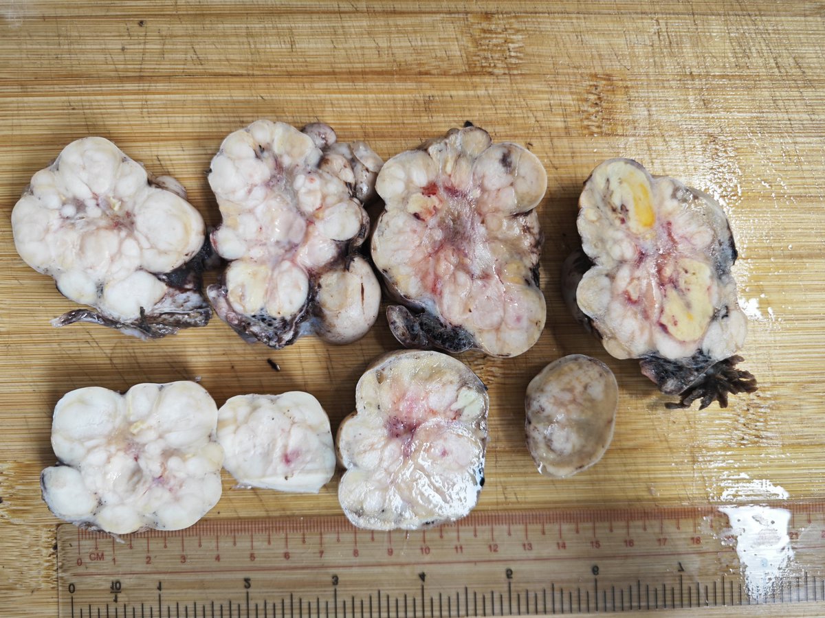 aung phyo tweet media