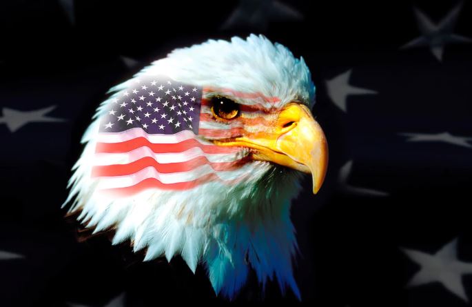 's tweet image. THANK YOU to all the soldiers in our military who defend our Nation and keep US Safe.

#woundedveterans #supportveterans