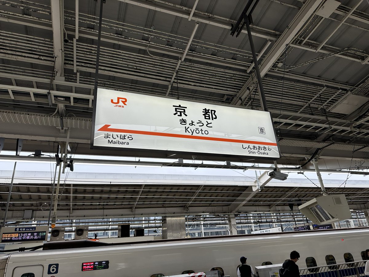 ShigurESM's tweet image. 