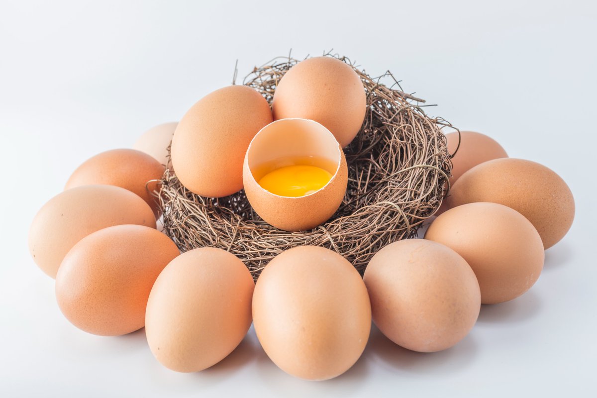 Essential foods for a MAN:

• MEAT: Red meat is good, Fatty meat is the best.

- FATTY FISH and Grass-fed CHICKEN

• EGGS: Grass-fed 

• FATS and OILS: Coconut, Avocado, Tallow and Butter

• Pumpkins

#BetterTogether