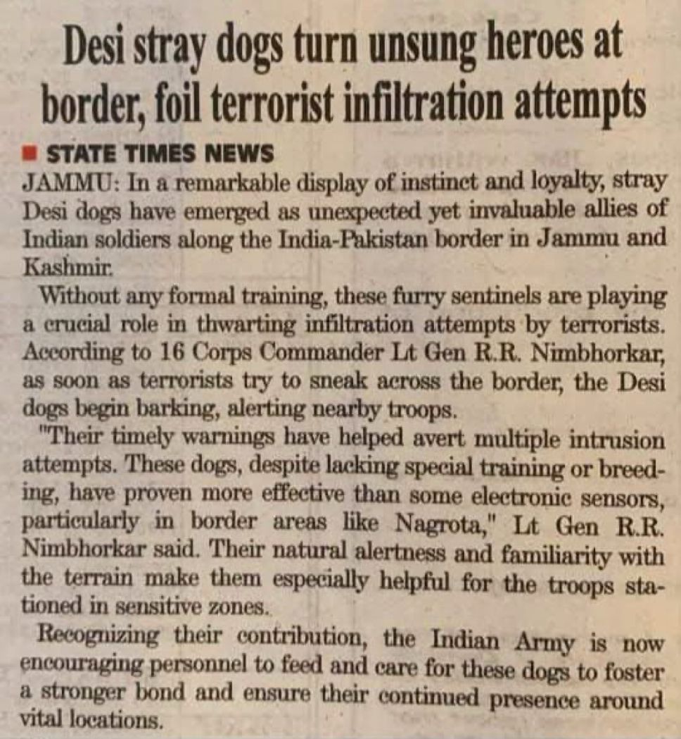 Haters will continue to hate but desi dogesh have delivered at the Border.