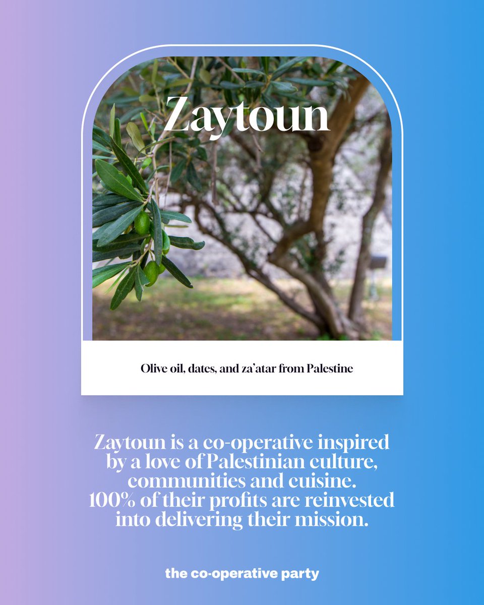 You can shop from <a href="/Zaytoun_CIC/">Zaytoun</a> at zaytoun.uk 🫒