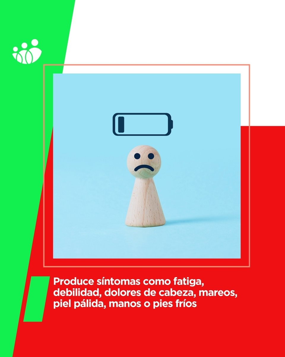 ACUNSA (@acunsa) on Twitter photo La anemia es una afección que afecta a una cuarta parte de la población mundial.
Existen distintos tipos y algunas pueden ser graves si no se diagnostican o se tratan.
Los expertos de <a href="/ClinicaNavarra/">Clínica Universidad de Navarra</a> ofrecen más detalles sobre ella en este post. bit.ly/2WeWeW5 La anemia es una afección que afecta a una cuarta parte de la población mundial.
Existen distintos tipos y algunas pueden ser graves si no se diagnostican o se tratan.
Los expertos de <a href="/ClinicaNavarra/">Clínica Universidad de Navarra</a> ofrecen más detalles sobre ella en este post. bit.ly/2WeWeW5