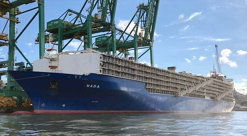 Maior navio boiadeiro do mundo parte com mais de 20.000 bovinos do Brasil para a Turquia; Vídeo ow.ly/mOYX50VQHoJ via <a href="/comprerural/">Compre Rural 🌱</a>