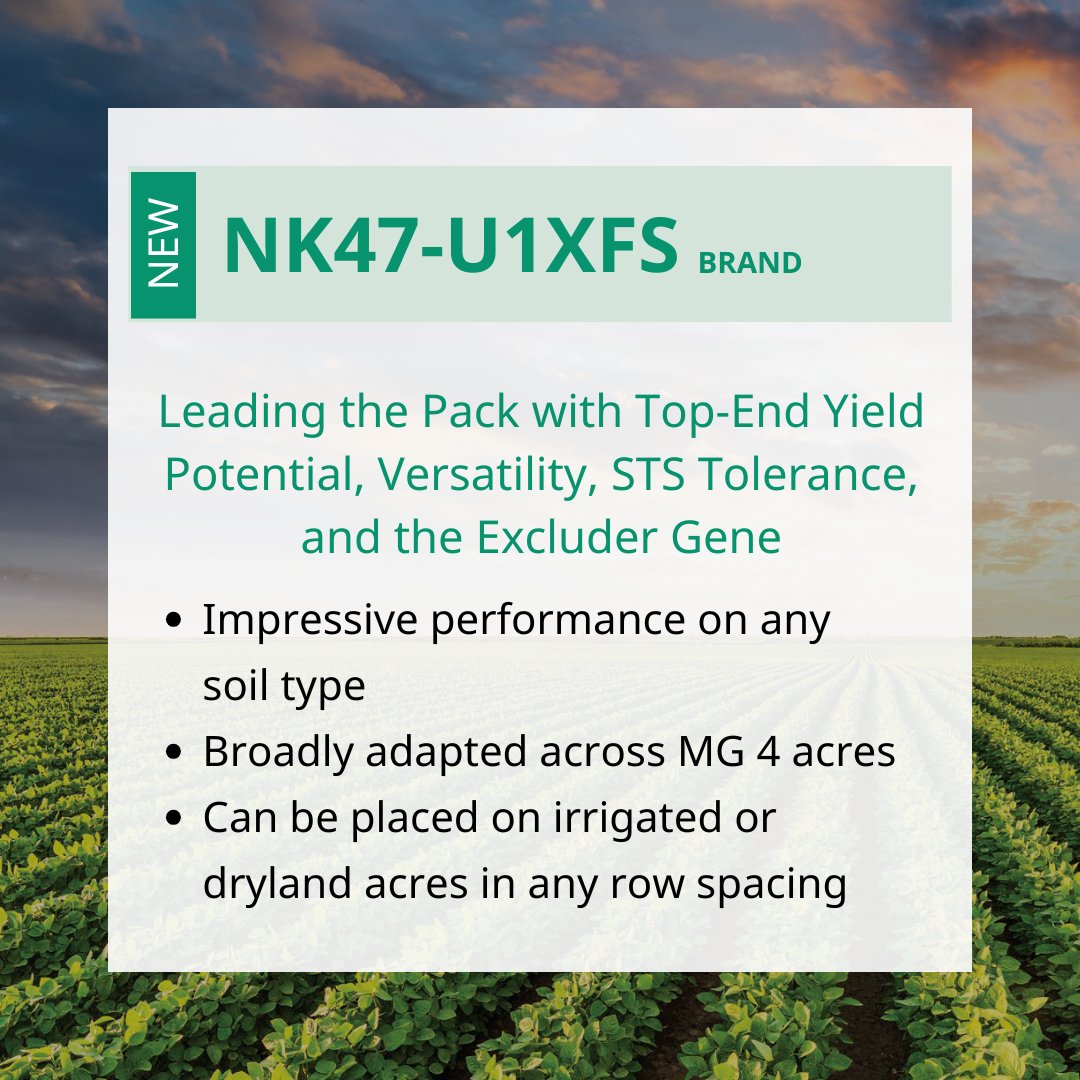 The 2026 soybean class is ready to shake things up! 🌱 Look forward to:

🔵 Varieties that can handle stress environments 
🔵 High yield potential
🔵 Strong white mold options 
🔵 Later maturity Chloride Excluders with the STS® gene 

bit.ly/3SvmERp